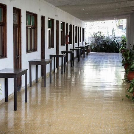 Delfin Playa Azul Hotel Lázaro Cárdenas Eksteriør billede